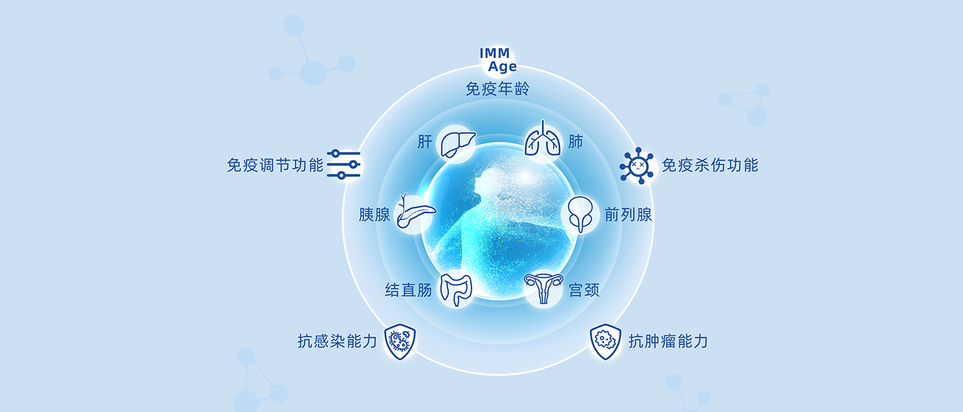 未标题-1.png